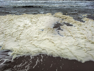 Dirty foam on the shore of a stormy sea