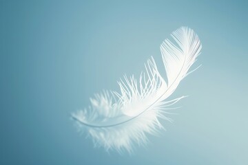 : Airy and minimal presentation background: cool blue with a single, crisp white feather silhouette.