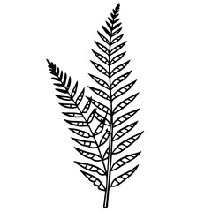 boston fern silhouette vector illustration