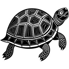 eastern box turtle silhouette vector illustration