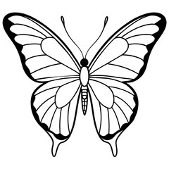 butterfly silhouette vector illustration