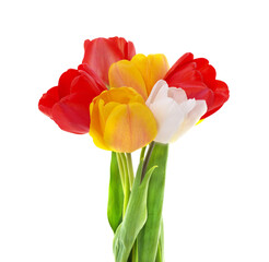 Bouquet of multicolored tulips. - 789585654