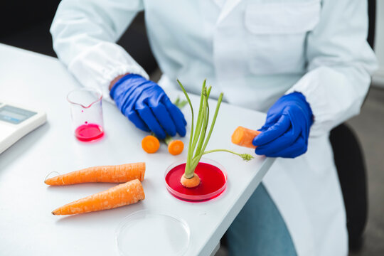 Female scientist researcherworking on biotech laboratory