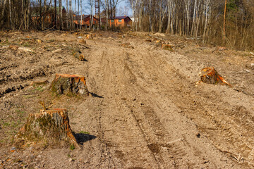 Preparing a clearing with tree felling for laying a power line