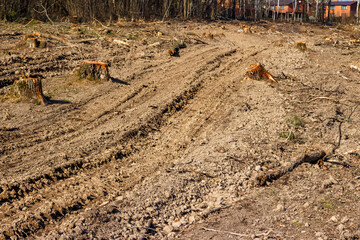 Preparing a clearing with tree felling for laying a power line