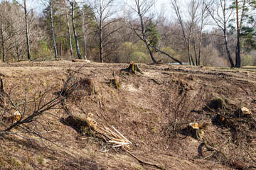 Slope with protruding stumps left after cutting down trees