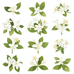 Stephanotis Flower Icon Set, Garden Madagascar Jasmine Flower Flat Design, Abstract Flower Symbol