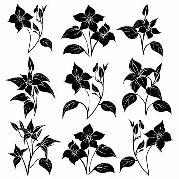 Tradescantia (Tradescantia virginiana), Pot Plant Flat Icon Set, Tradescantia Plant Flat Design