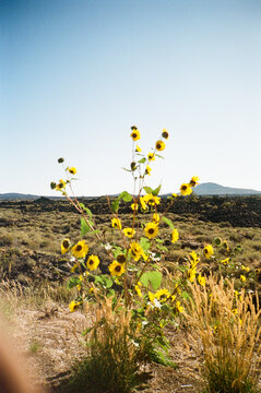 Craters of the moon, Idaho