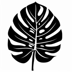 Black and White Silhouette of a Monstera Leaf