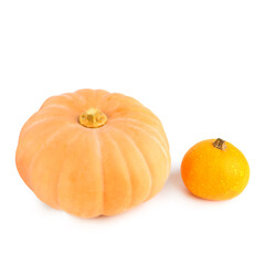 Two pumpkins isolated on a white. There is free space for text. - 789599480