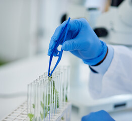 Hand, test tubes and plants for research, medical and pharmaceutical development for health care. Scientist, laboratory and discovery for innovation, life extension and professional biochemistry