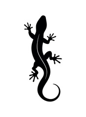 lizard logo