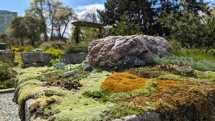 Exhibit at Bonsai Garden, Lake Merritt