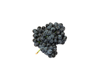 Blue Isabella grapes bunch isolated on white background
