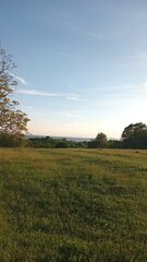 Fototapeta premium sunset over the field