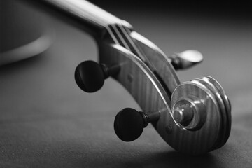 violin music close up
