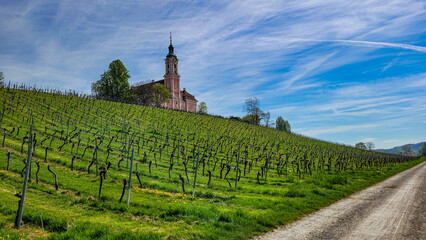 View of Birnau Basilica surrounded by green vineyards against the background of blue sky