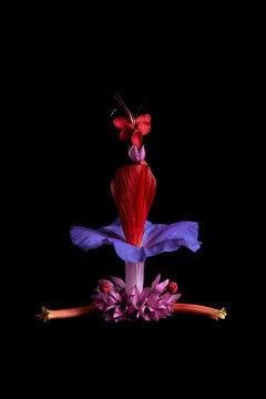 Flower composition