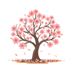 Beautiful cherry blossom tree with pink flowers. Sakura illustration. Vector