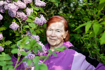 Outdoor close-up portrait of old woman. Beautiful elderly woman smiling against background of blooming lilacs in spring park.