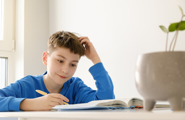 Smiling intelligent schooler chubby teen boy doing homework, sitting at table and writing at notebook, enjoying educational process, copy space, home interior. Kids and school concept - Powered by Adobe
