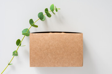 Cardboard box and plant branch. Eco-friendly paper packaging. Top view, free space, selective focus. Template for logo