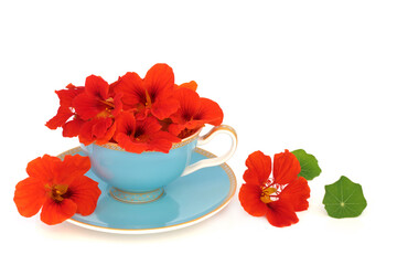 Nasturtium flowers in a teacup on white background. Used in food decoration and herbal medicine...