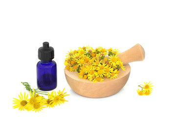 Ragwort flowers in a mortar on white with essential oil bottle. Used in natural herbal medicine to treat colic, rheumatism, painful periods, menopause symptoms, poisonous to livestock. - 789620838