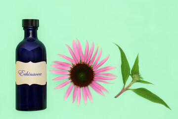 Natural echinacea alternative herbal medicine with tincture bottle. Used to treat coughs colds, flu and bronchitis with flower head and leaf spring on green background.- 789620858