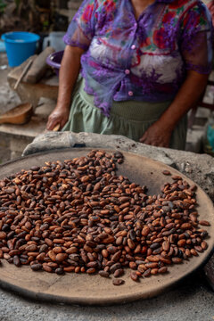 Cocoa beans toasting 