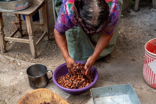 Washing the coffee beans before cooking
