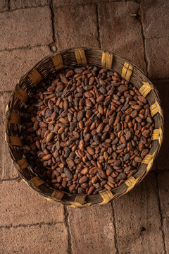 Toasted chocolate beans