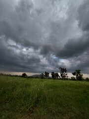 Obraz premium clouds in the field