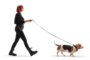 Full length profile shot of a young woman with red hair walking a basset hound dog