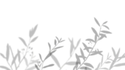 Png leaves shadow background, botanical shadow in transparent design