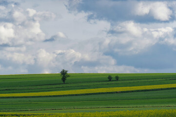 Krajobraz rolniczny, Polska, Lubelskie.