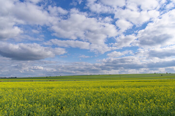 Landscape of the Lublin region.