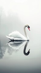 a beautiful white swan gracefully gliding on calm waters, its reflection mirrored below, in a stunning display of minimalist photography, rendered in high definition.