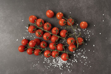 Cherry tomatoes on a sprig. Tomatoes on grey background with sprinkled salt