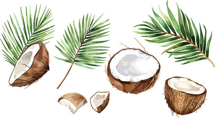 A set of watercolor coconut and palm leaves vector illustrations. Collection of isolates for labels, prints, banners. Watercolor illustration on white background. Summer fruit painting illustration