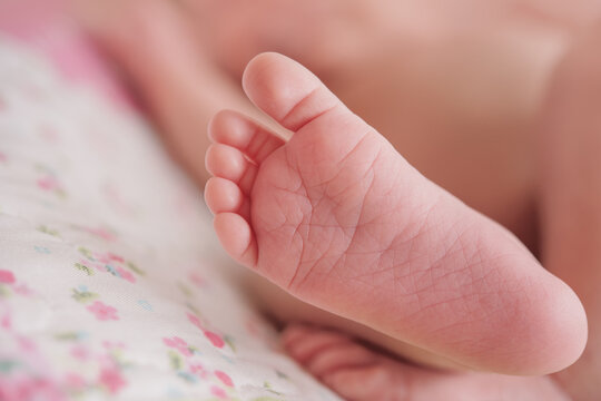 Newborn baby foot 