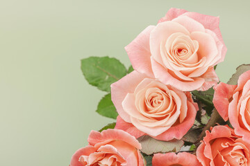A bouquet of roses in vase on a pastel green background. Blooming flowers, festive concept