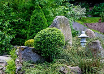 iglaste krzewy w ogrodzie skalnym, Rockery garden with stones and coniferous shrubs,  irga pozioma,...