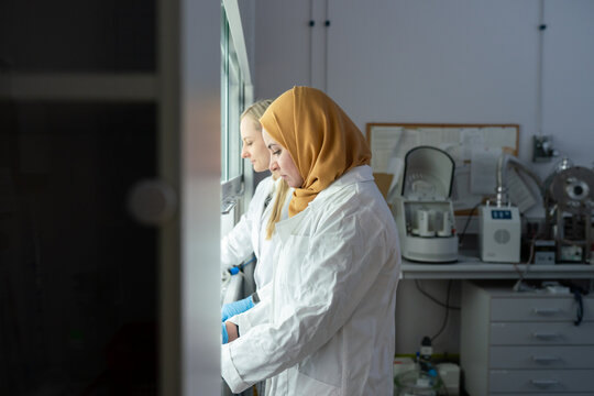 Researchers Working In The Chamber