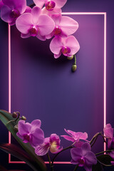 Fluorescent modern glowing pink frame on purple background - obrazy, fototapety, plakaty