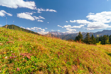 les arbres et ciel bleu sur la montagne à Chatel France 