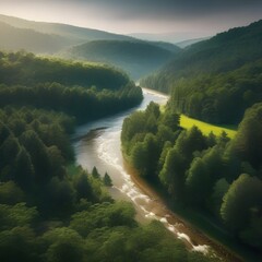 A serene river winding through a forested valley3