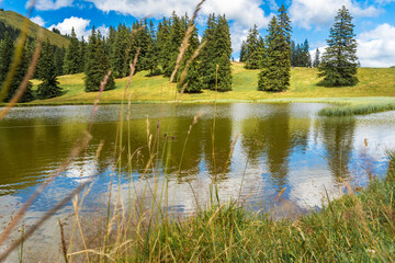 Fototapeta na wymiar le lac à la montagne de Chatel en été