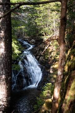cascade in wild forest